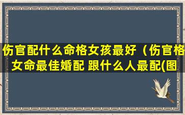 伤官配什么命格女孩最好（伤官格女命最佳婚配 跟什么人最配(图文)）